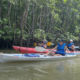 kayak-mangrove-costa-rica-15