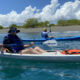 kayak-mangrove-costa-rica-27